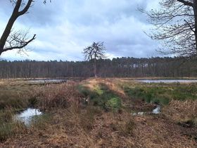 Actiedag voor de natuur:  natuurbeheer in De Hoefaert