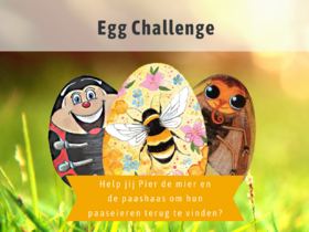 Egg Challenge op het Blotevoetenpad