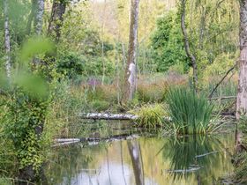 Begeleide biodiversiteitswandeling met aansluitend bezoek aan BioDrome Lieteberg