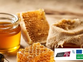 Gratis vorming Steunpunt Bijenteelt: Honing, propolis en was