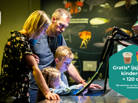 Laatste openingsdag Insectenmuseum