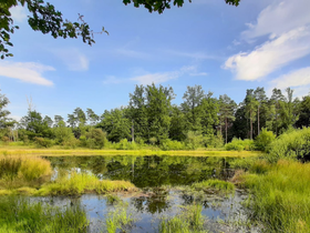 Lezing 'Unieke waarnemingen Bioblitz Steleven Wiemesmeer' door Natuurlijk Zutendaal