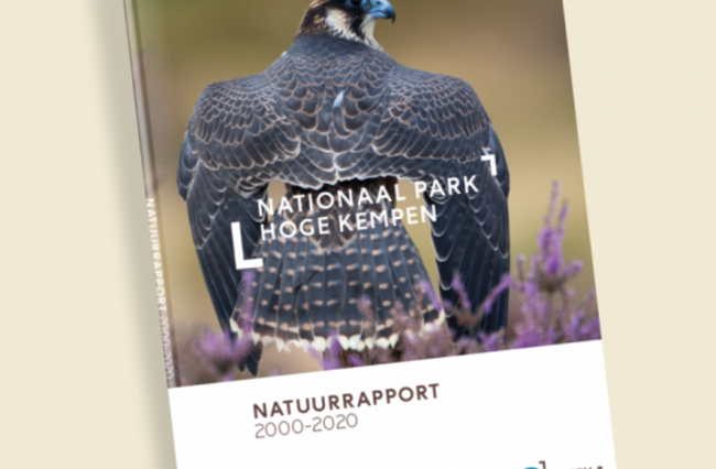 Natuurrapport 2000-2020 van het Nationaal Park Hoge Kempen: een unieke kijk op de biodiversiteit!