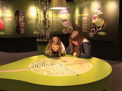 Entomopolis (Museum of insects)