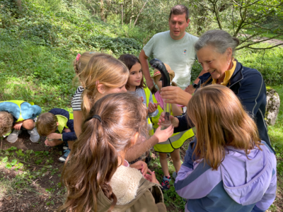 Group visits